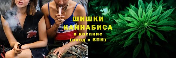Альфа ПВП Бородино