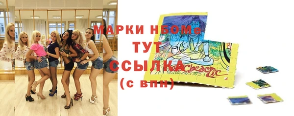 стаф Бронницы
