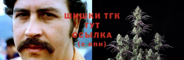 Альфа ПВП Бородино