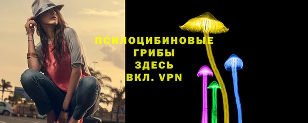 Альфа ПВП Бородино