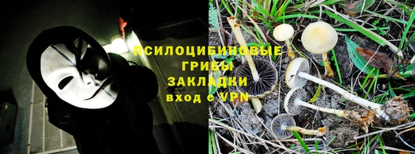 стаф Бугульма