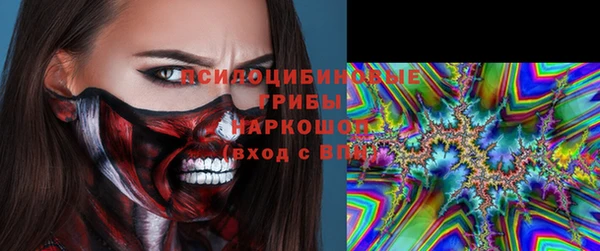 Альфа ПВП Бородино
