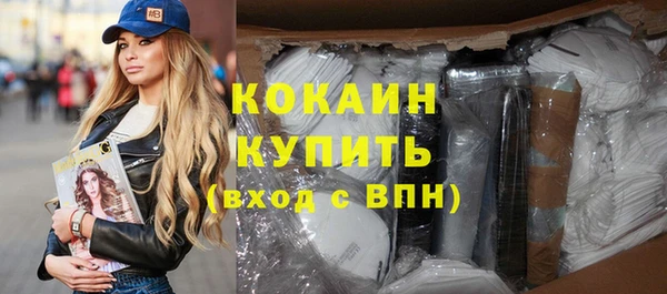 Альфа ПВП Бородино