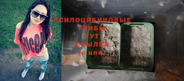 стаф Бронницы
