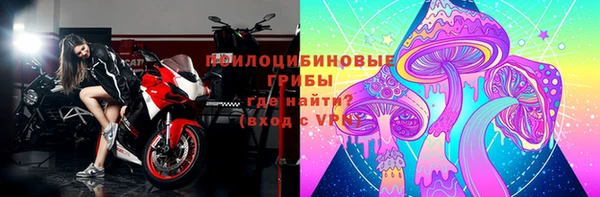 стаф Бронницы