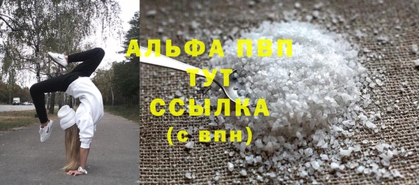 Альфа ПВП Бородино